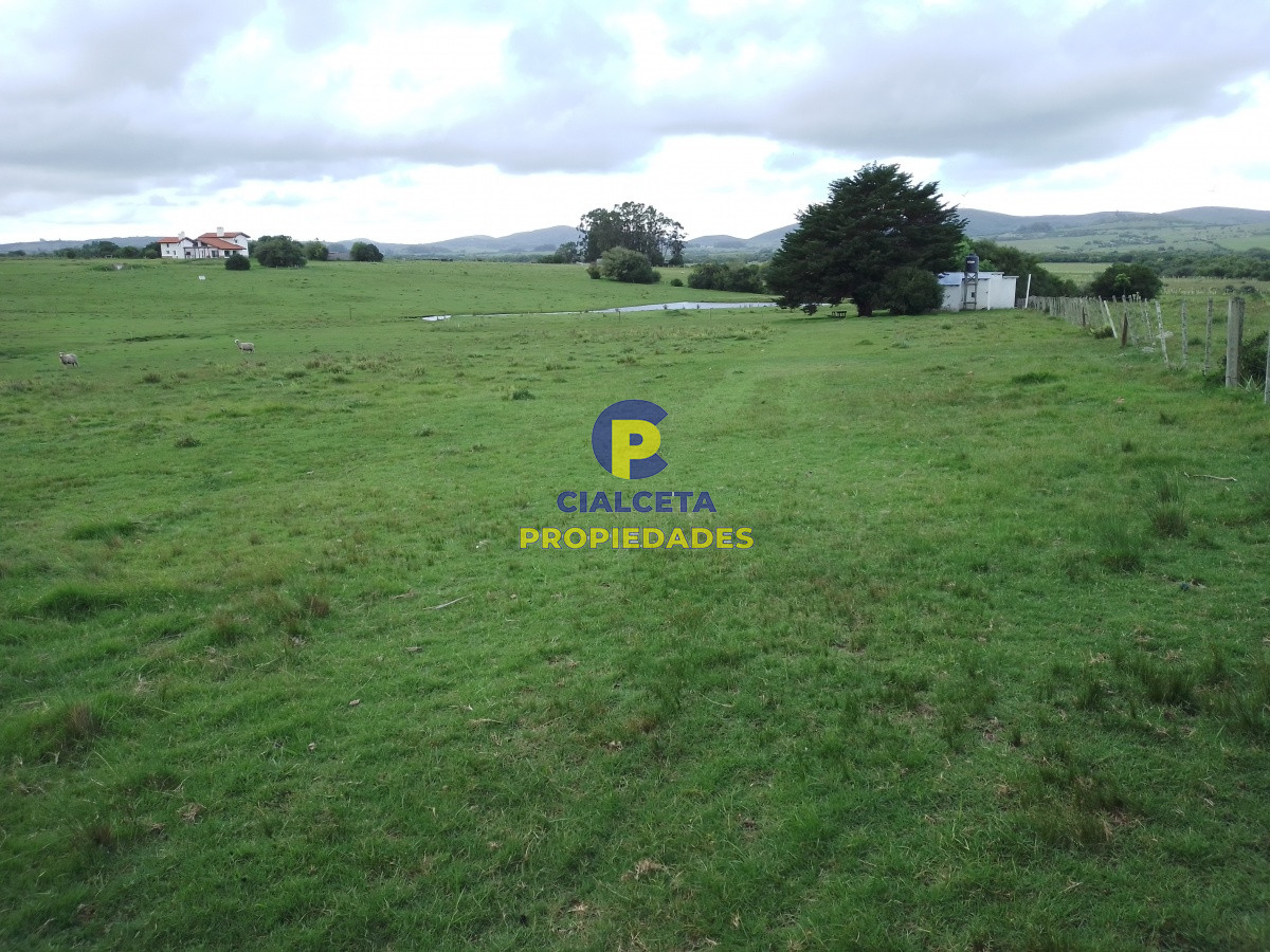 Chacra ID.155 - 10 hectáreas con buena casa