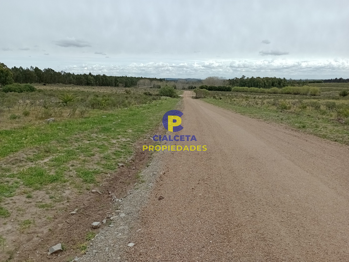 Chacra ID.201 - 3 hectáreas en Canelones