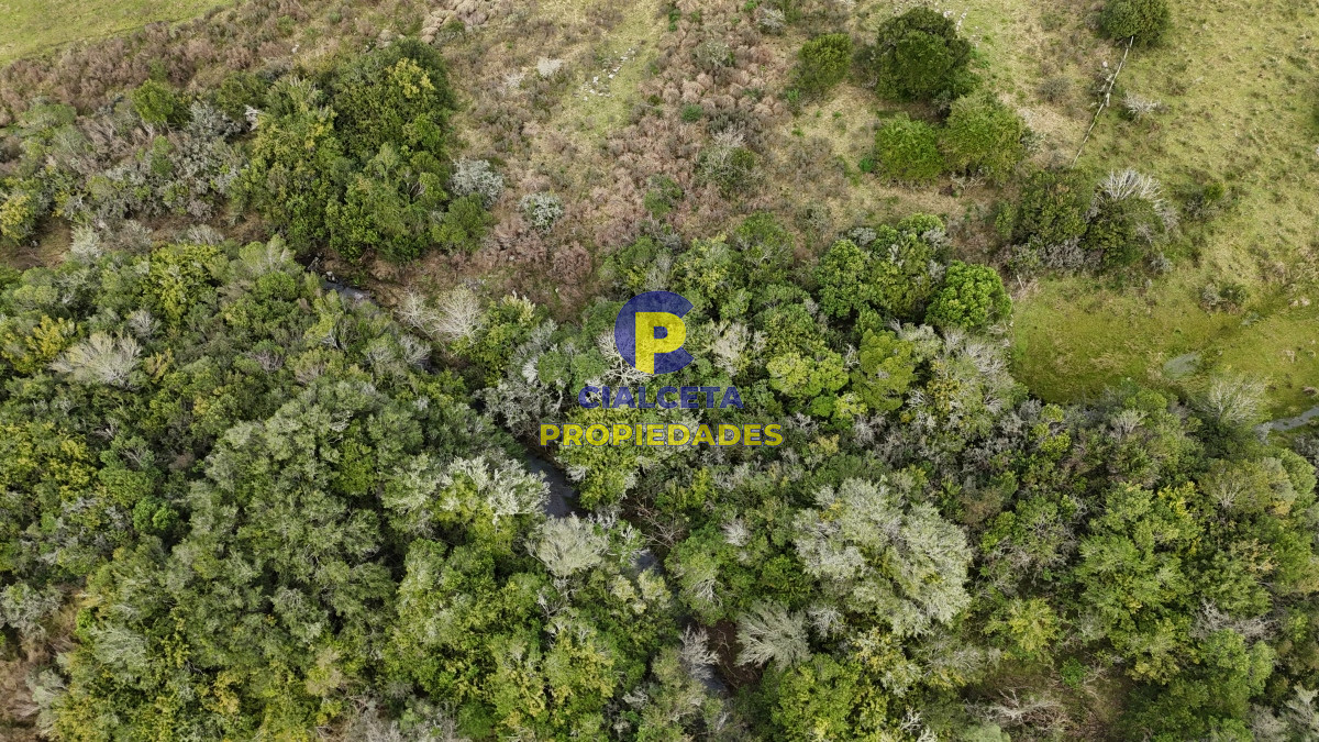Chacra ID.501 - 5 hectáreas en Lavalleja, entrega de 5.600 y cuotas