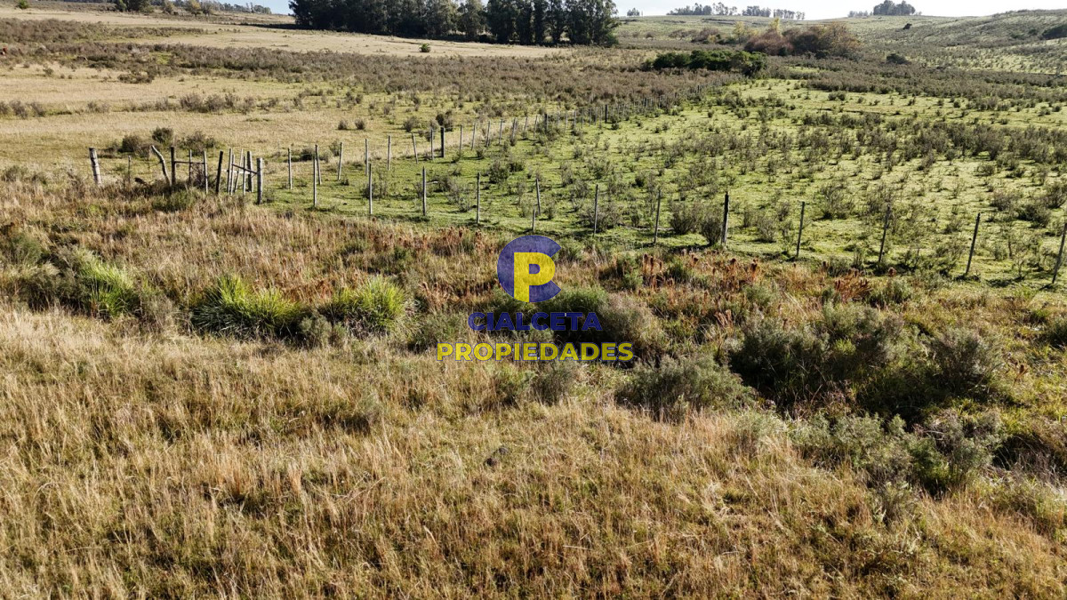 Chacra ID.575 - 11 hectáreas en Canelones, sobre carretera