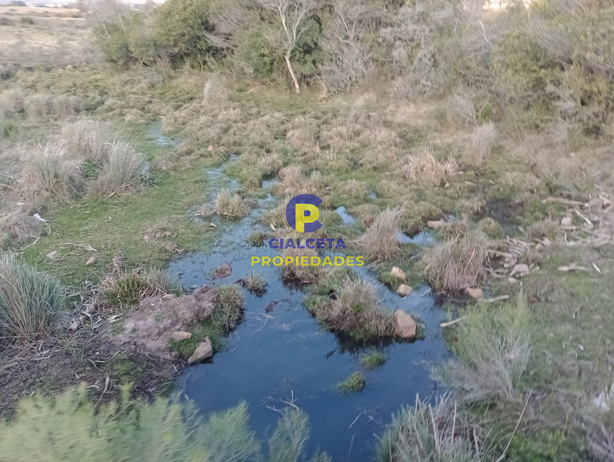 Chacra ID.299 - 6 hectáreas en Pueblo Edén