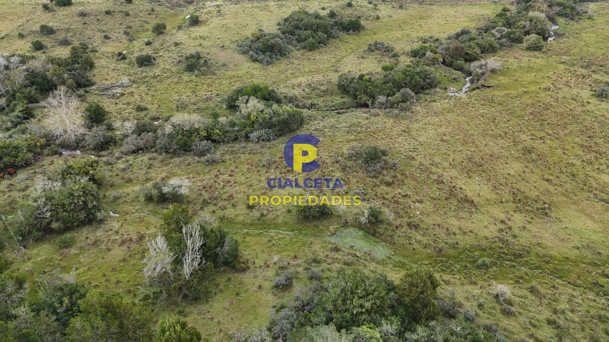 Minas - GoPunta - Portal Inmobiliario de Punta del Este - Maldonado