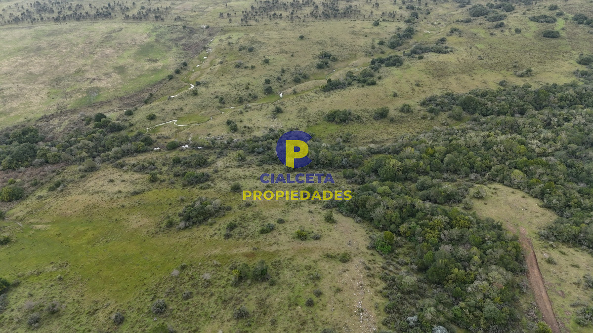 Chacra ID.501 - 5 hectáreas en Lavalleja, entrega de 5.600 y cuotas