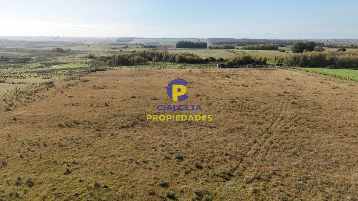 Chacra ID.575 - 11 hectáreas en Canelones, sobre carretera