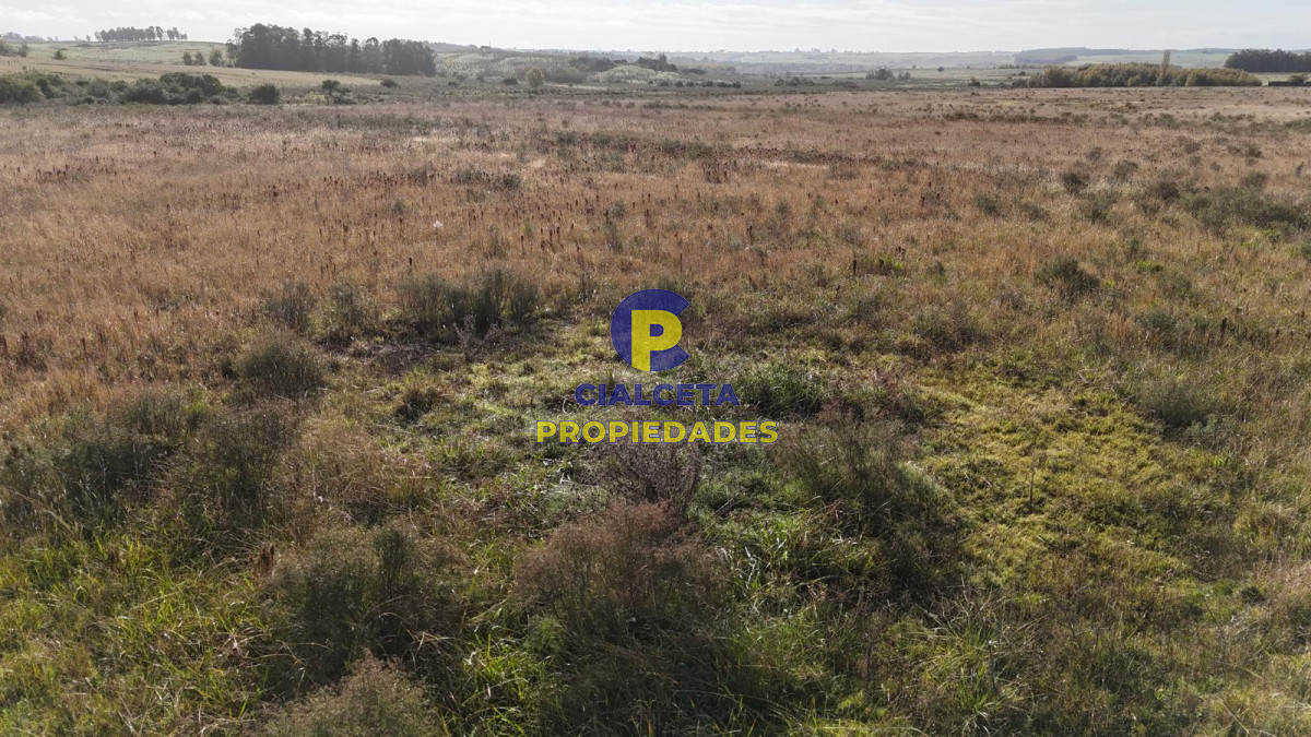 Chacra ID.575 - 11 hectáreas en Canelones, sobre carretera
