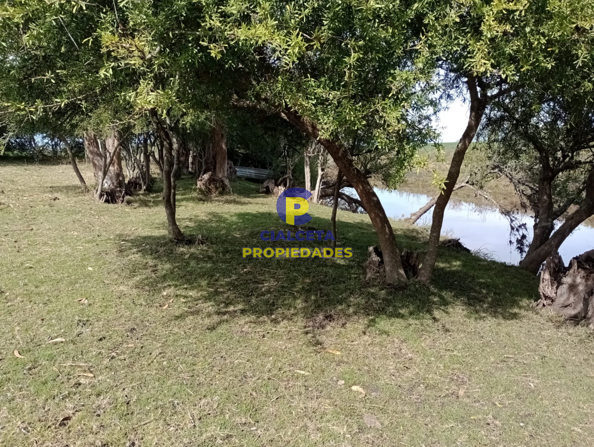 Chacra ID.296 - 9 hectáreas en lavalleja