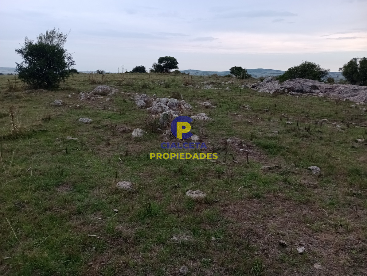 Chacra ID.181 - 5 hectáreas en Pueblo Edén