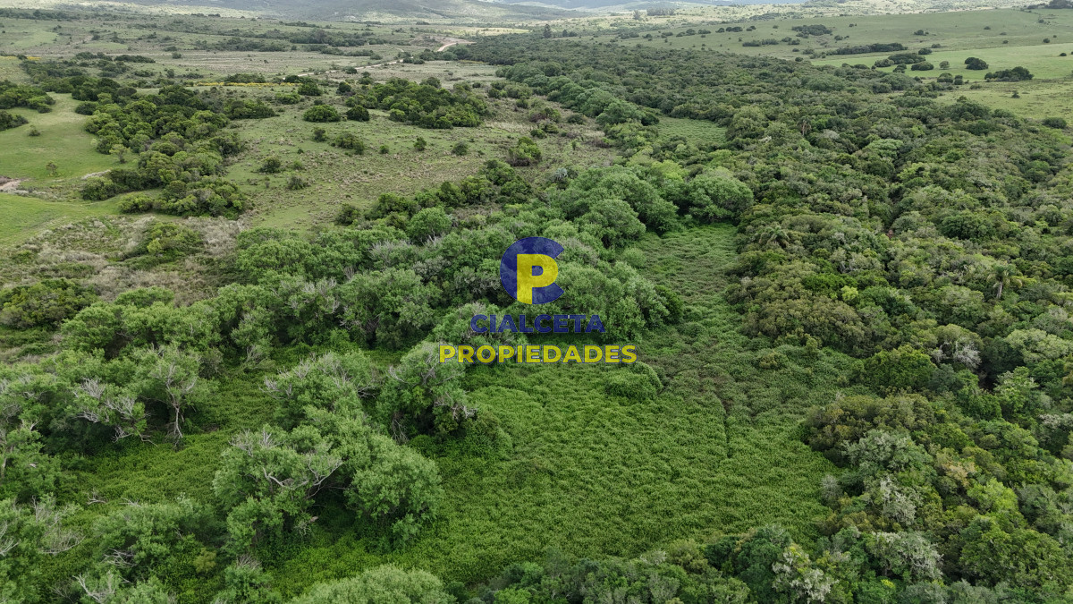 Chacra ID.560 - 4 hectáreas con 6.600 metros con monte y arroyo