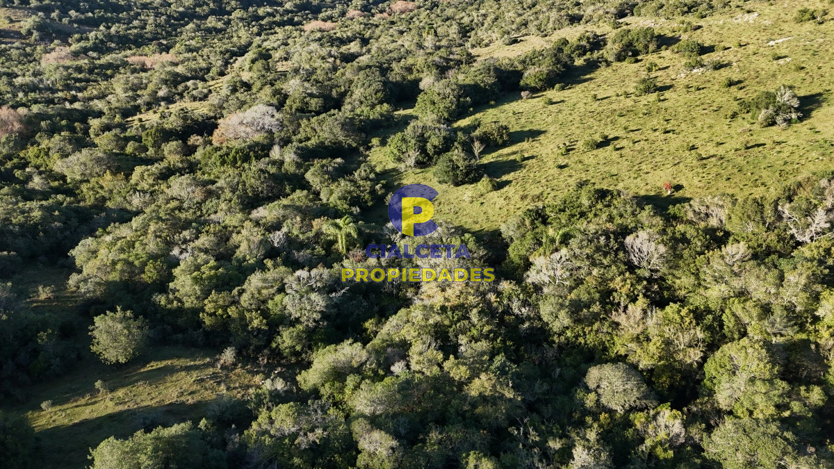 Pueblo Eden - GoPunta - Portal Inmobiliario de Punta del Este - Maldonado