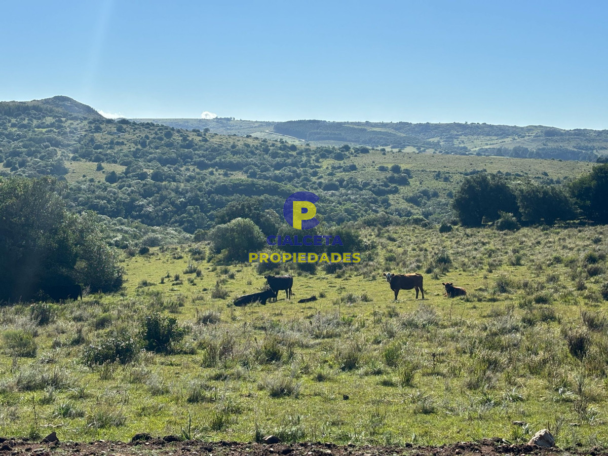 Pueblo Eden - GoPunta - Portal Inmobiliario de Punta del Este - Maldonado
