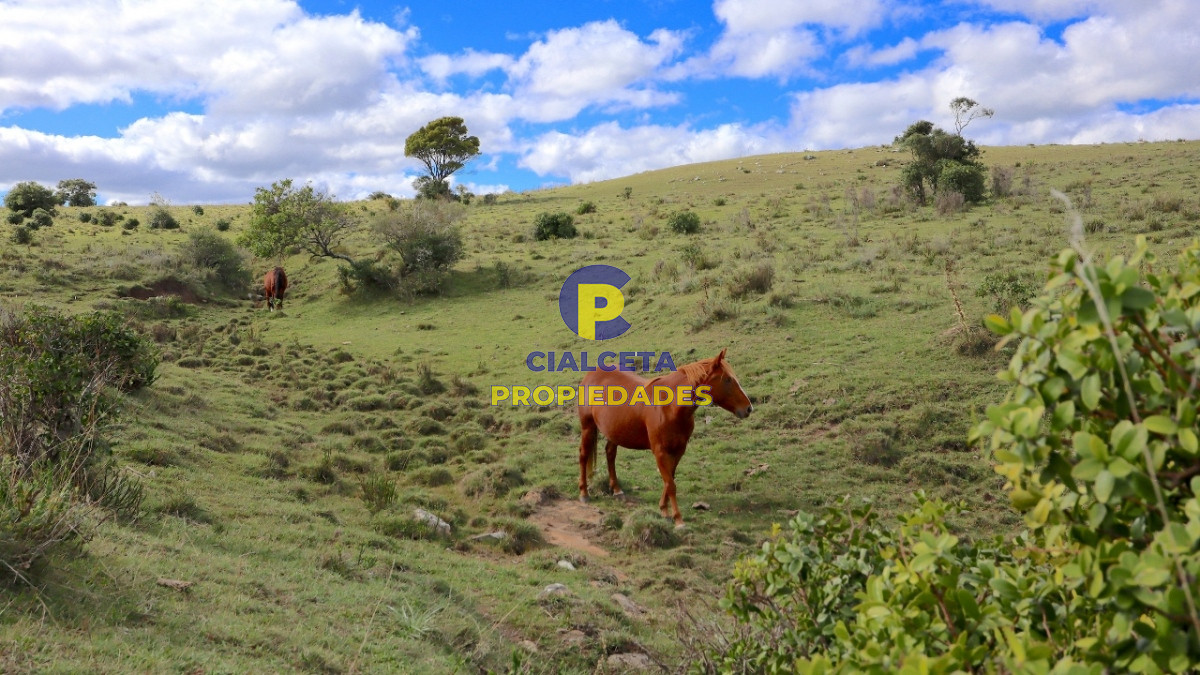 Pueblo Eden - GoPunta - Portal Inmobiliario de Punta del Este - Maldonado