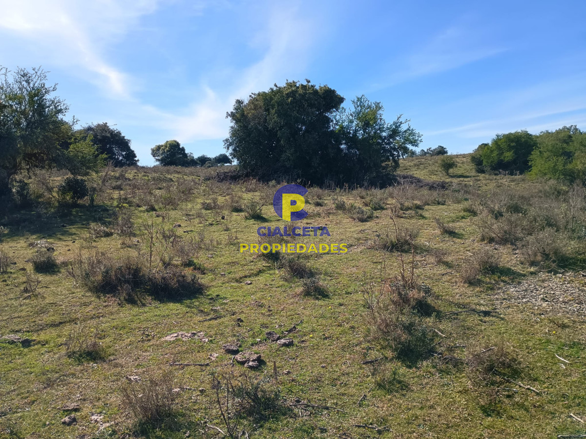 Zona Rural - GoPunta - Portal Inmobiliario de Punta del Este - Maldonado