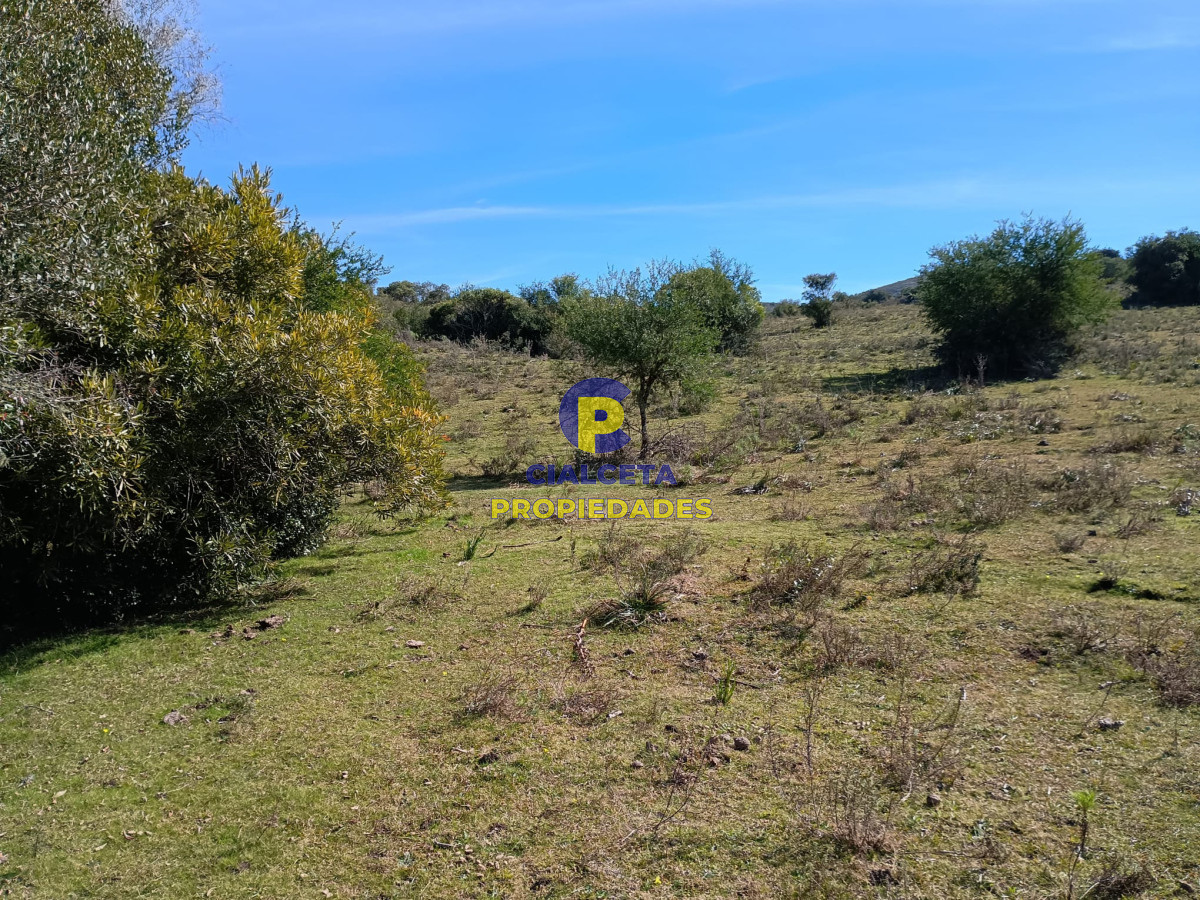 Zona Rural - GoPunta - Portal Inmobiliario de Punta del Este - Maldonado