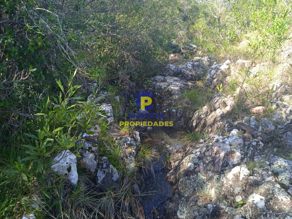 Chacra ID.202 - 5 hectáreas en las Cañas