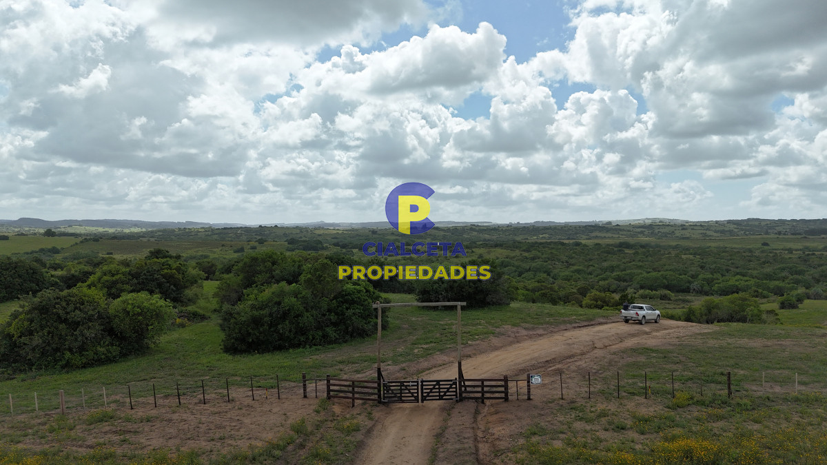 Maldonado - GoPunta - Portal Inmobiliario de Punta del Este - Maldonado