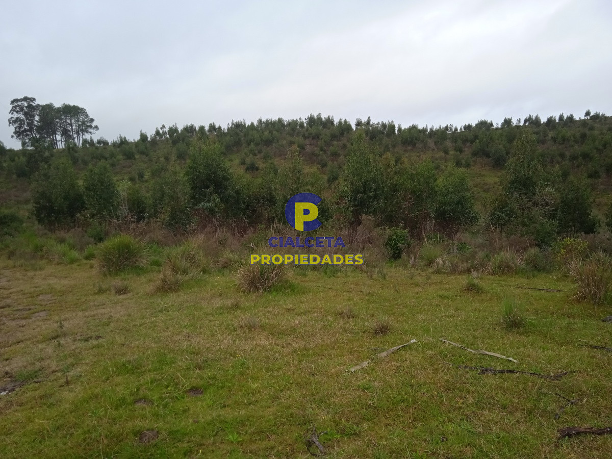 Chacra ID.48 - Entrega 7.000 U$S y saldo en 72 cuotas de 593 U$S