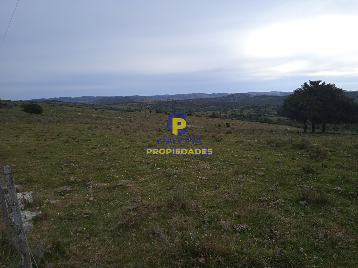 14 hectáreas con 7.500 metros con casa - GoPunta - Portal Inmobiliario de Punta del Este - Maldonado