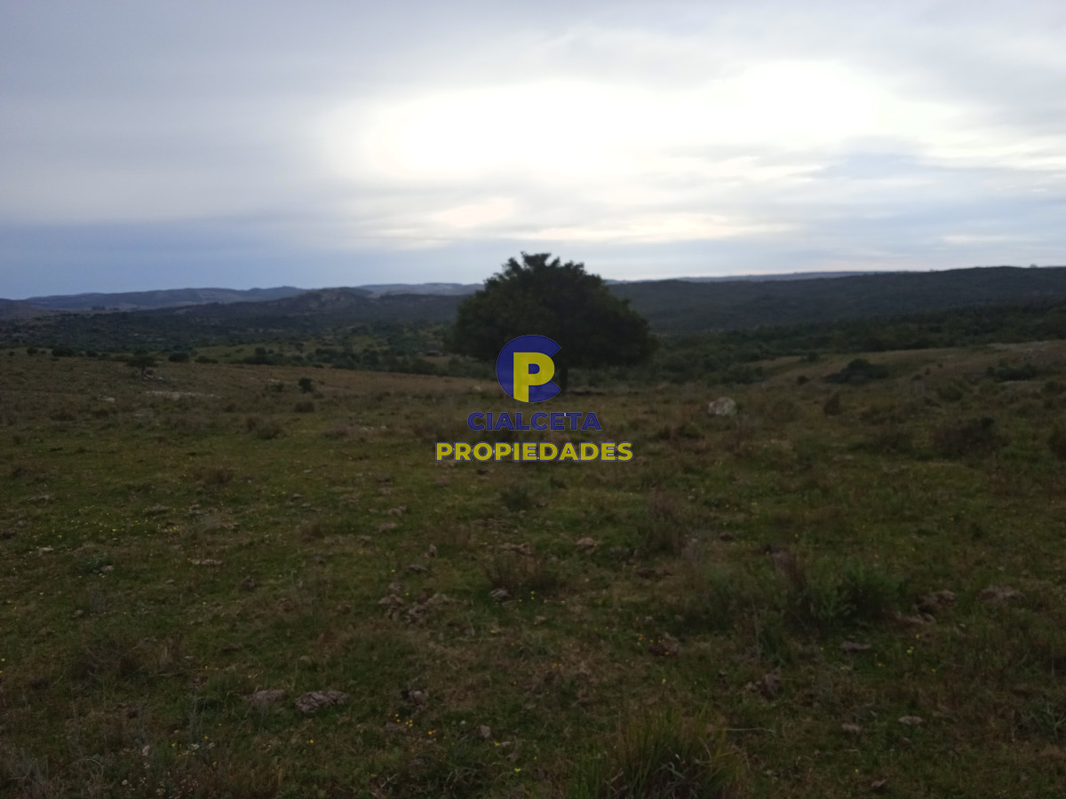 14 hectáreas con 7.500 metros con casa - GoPunta - Portal Inmobiliario de Punta del Este - Maldonado