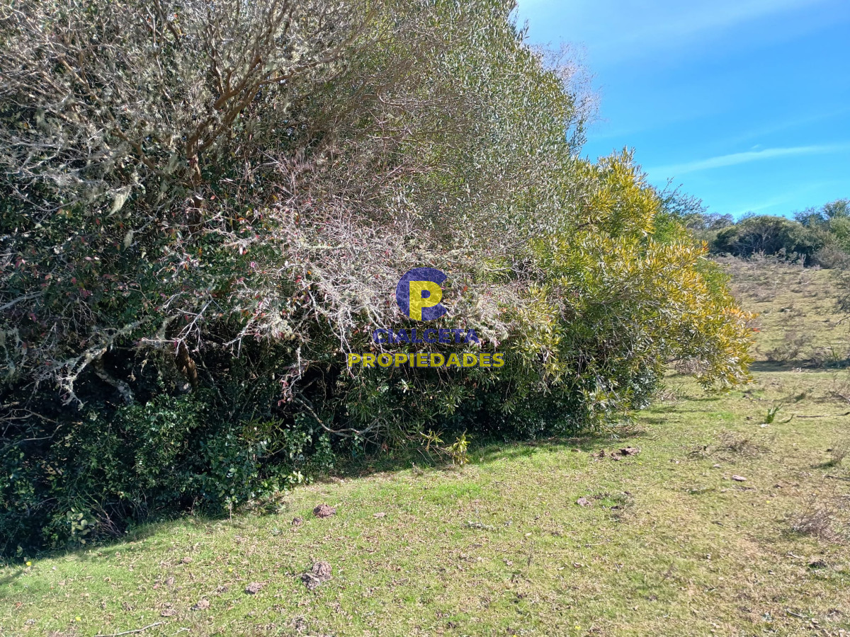 Zona Rural - GoPunta - Portal Inmobiliario de Punta del Este - Maldonado