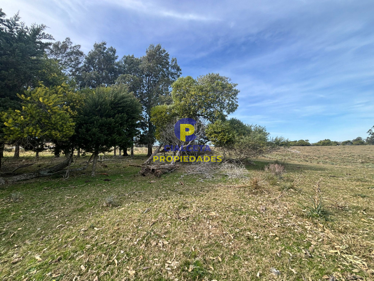 Maldonado - GoPunta - Portal Inmobiliario de Punta del Este - Maldonado