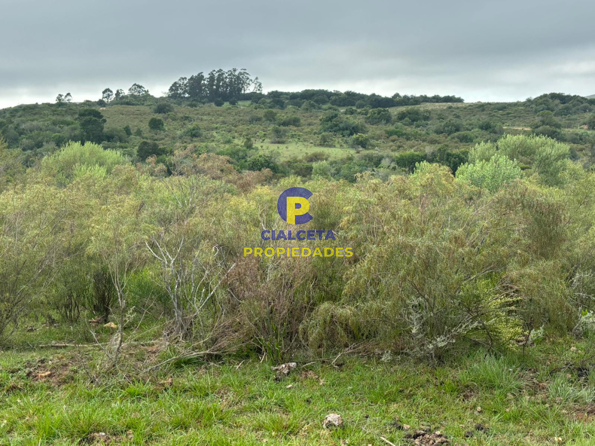 Las Cañas - GoPunta - Portal Inmobiliario de Punta del Este - Maldonado