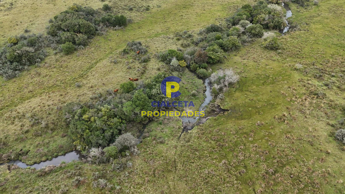 Chacra ID.501 - 5 hectáreas en Lavalleja, entrega de 5.600 y cuotas