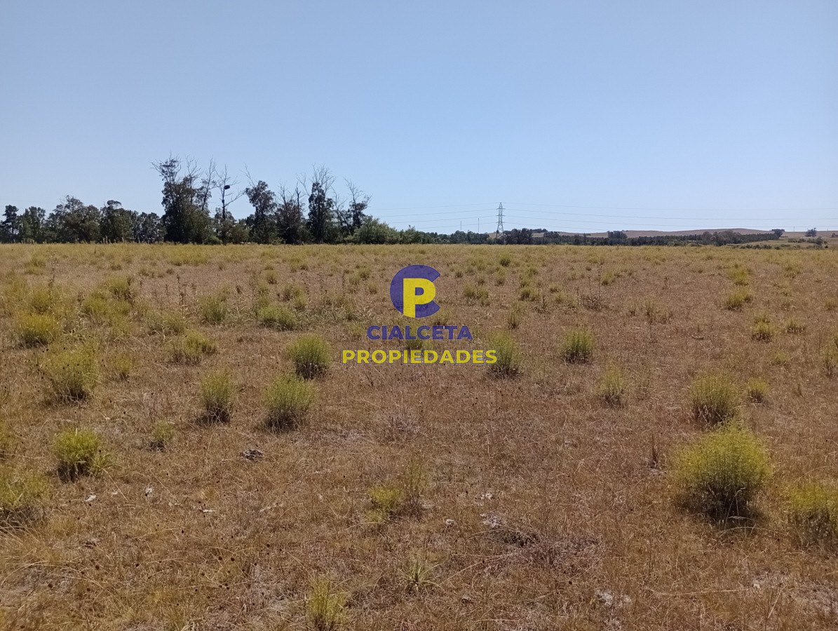 Chacra ID.117 - 5 hectáreas en ruta 104
