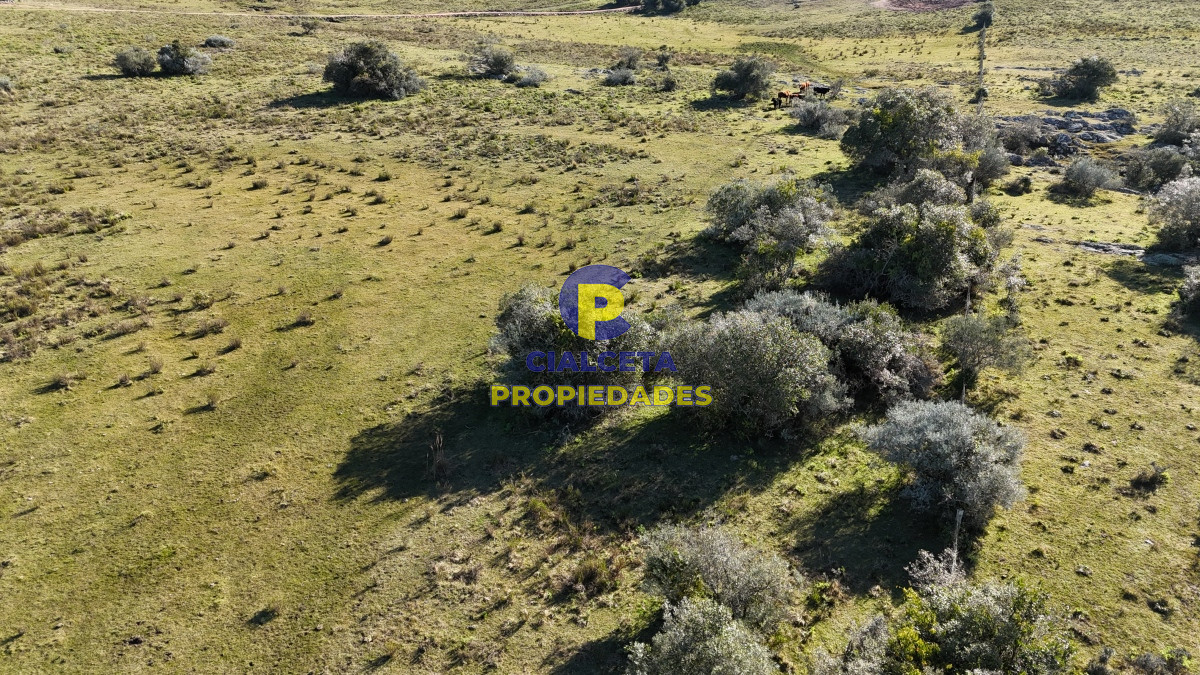Chacra ID.493 - 5 hectáreas con entrega de 6 mil dólares