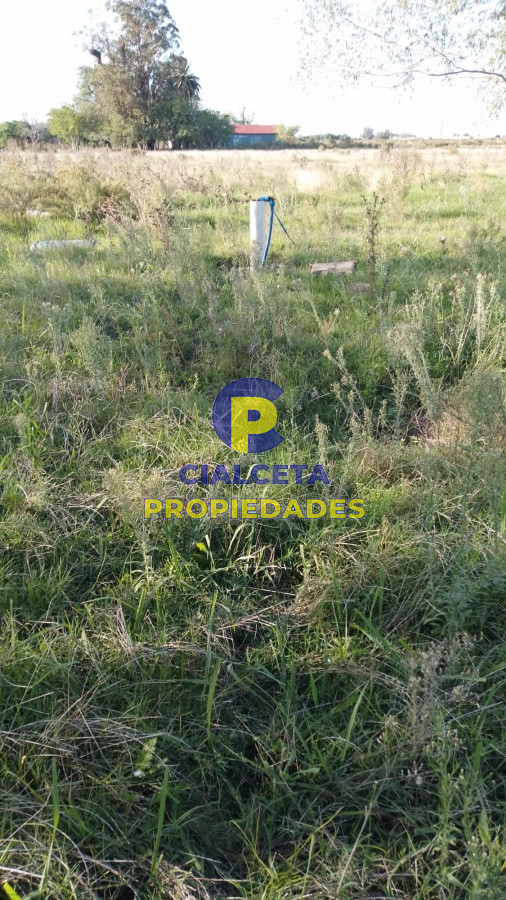 Chacra ID.168 - 4 hectáreas y media en Santa Rosa