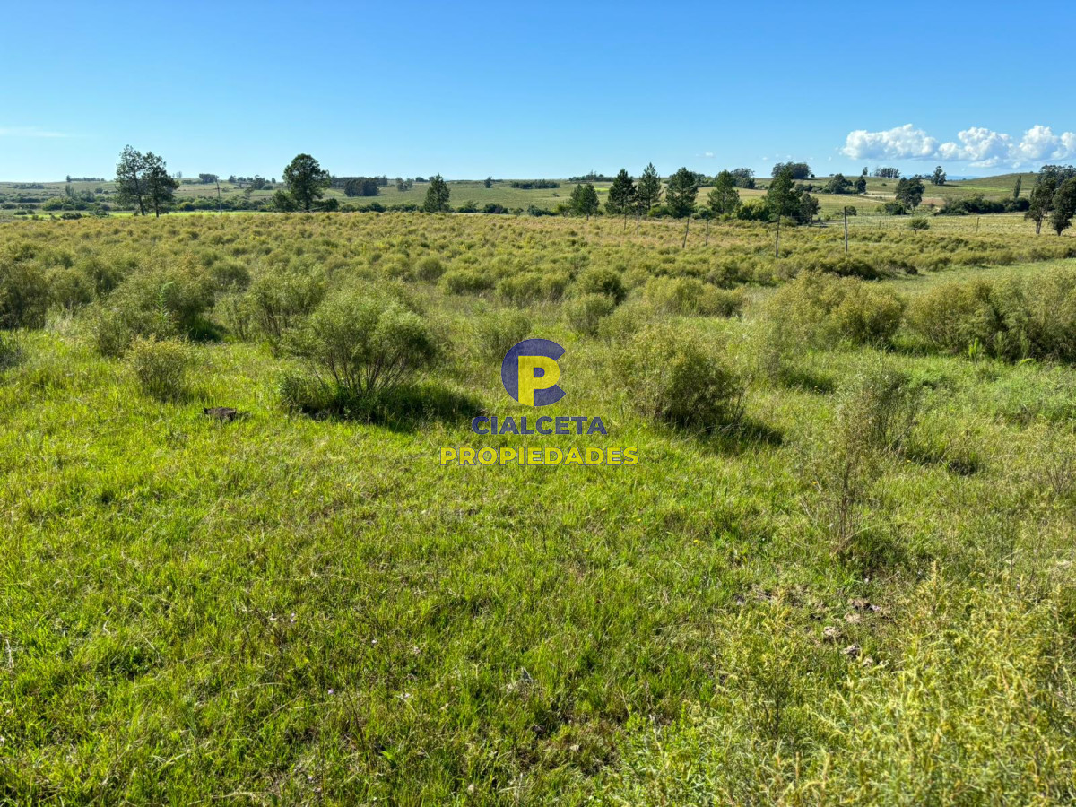 Migues - GoPunta - Portal Inmobiliario de Punta del Este - Maldonado