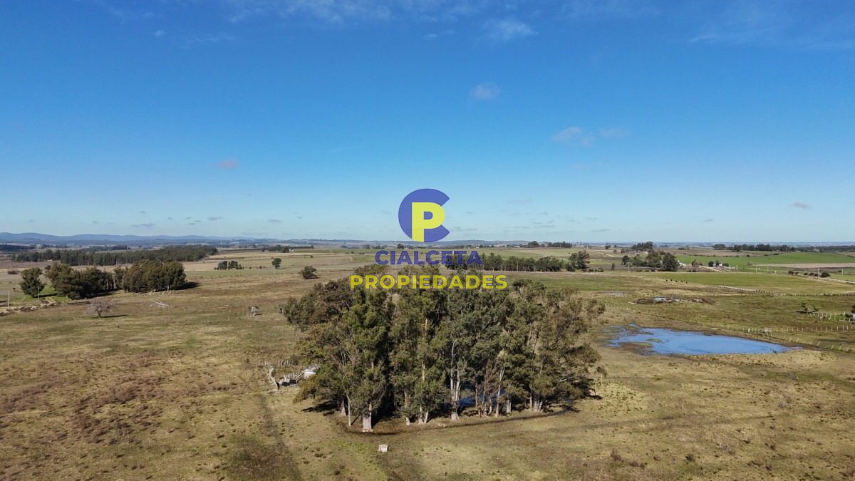 Minas - GoPunta - Portal Inmobiliario de Punta del Este - Maldonado
