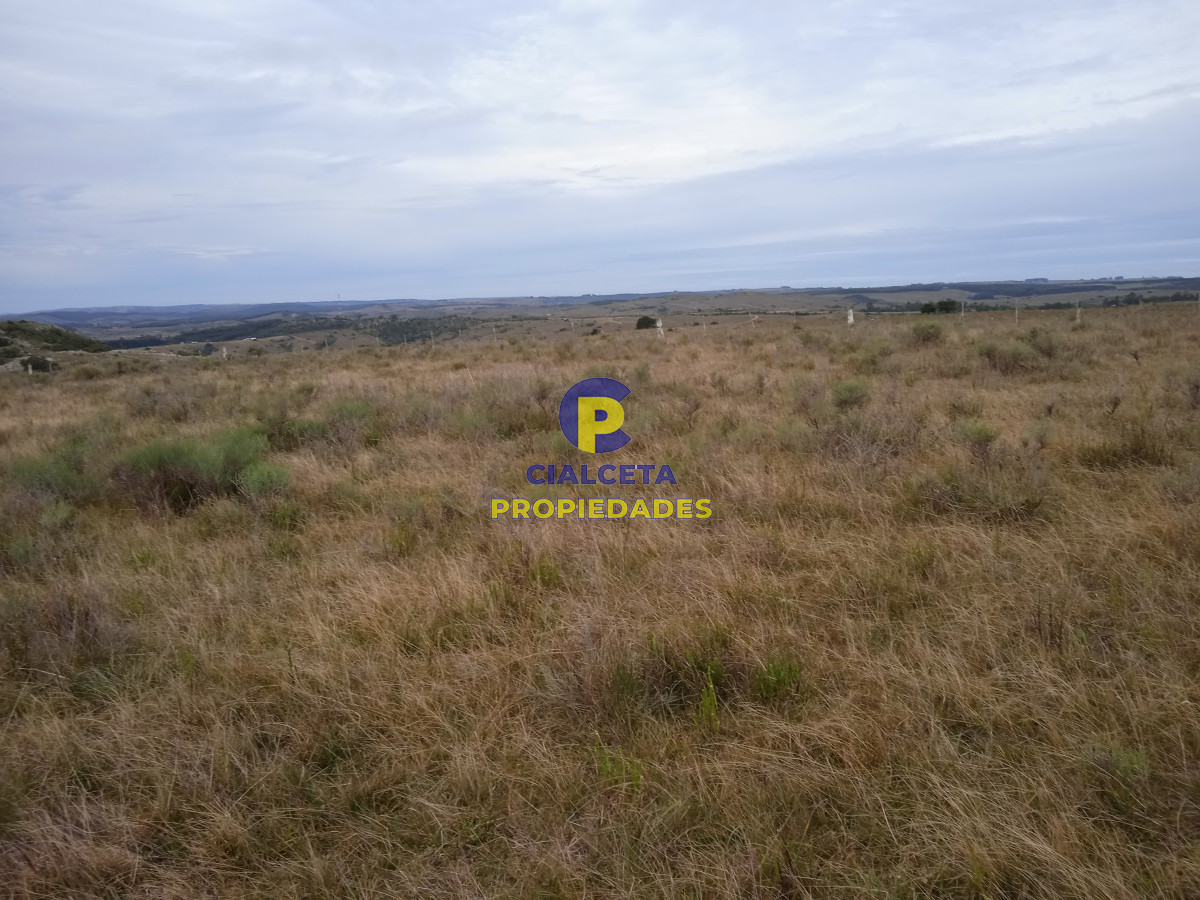 Zona Rural - GoPunta - Portal Inmobiliario de Punta del Este - Maldonado