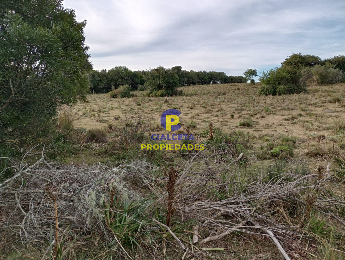 Garzon - GoPunta - Portal Inmobiliario de Punta del Este - Maldonado