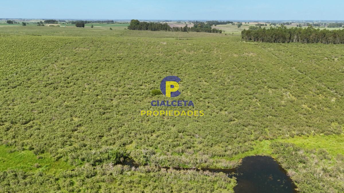 Minas - GoPunta - Portal Inmobiliario de Punta del Este - Maldonado