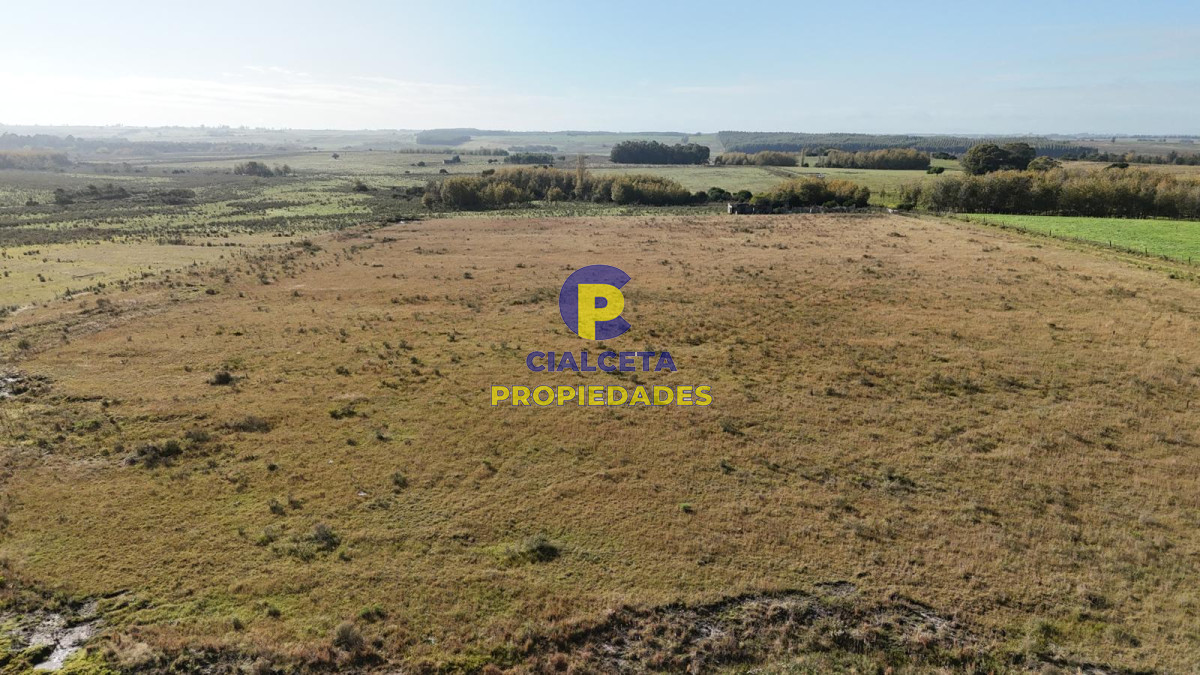 Canelones - GoPunta - Portal Inmobiliario de Punta del Este - Maldonado