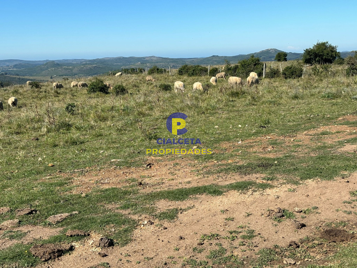 Pueblo Eden - GoPunta - Portal Inmobiliario de Punta del Este - Maldonado