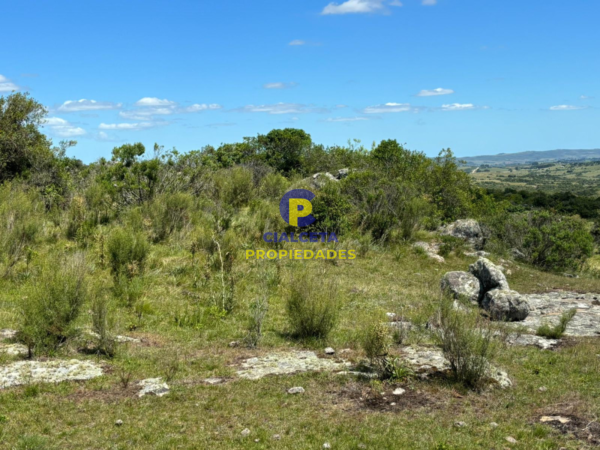 Las Cañas - GoPunta - Portal Inmobiliario de Punta del Este - Maldonado