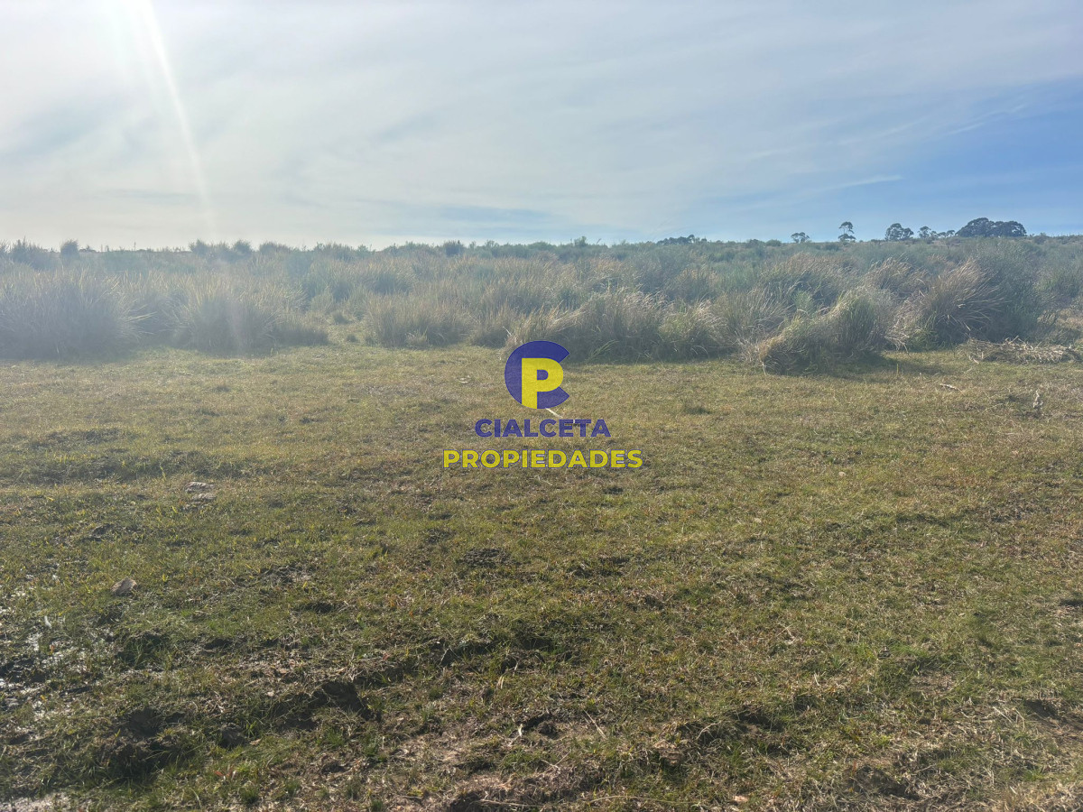 Maldonado - GoPunta - Portal Inmobiliario de Punta del Este - Maldonado