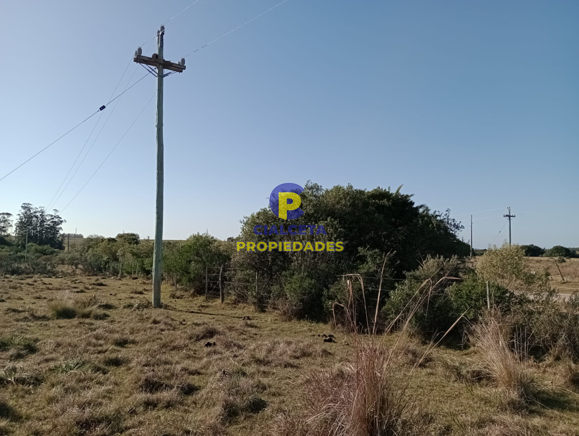 Chacra ID.276 - 5 hectáreas en Garzón