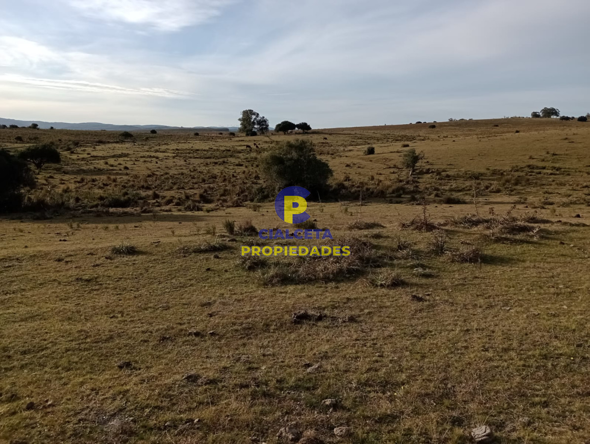 Chacra ID.268 - 5 hectáreas en Malonado