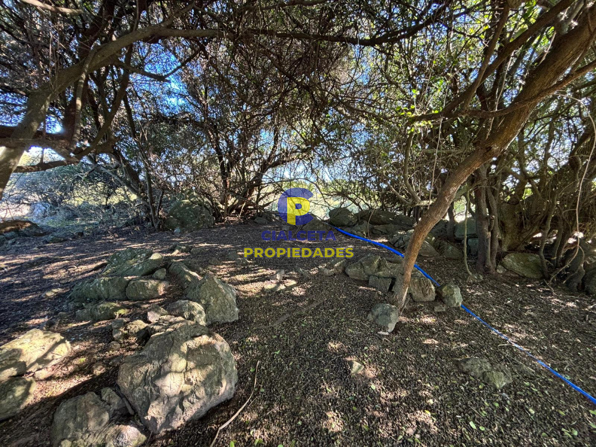Chacra ID.573 - 5 hectáreas con cabaña impecable a 1o km de Minas