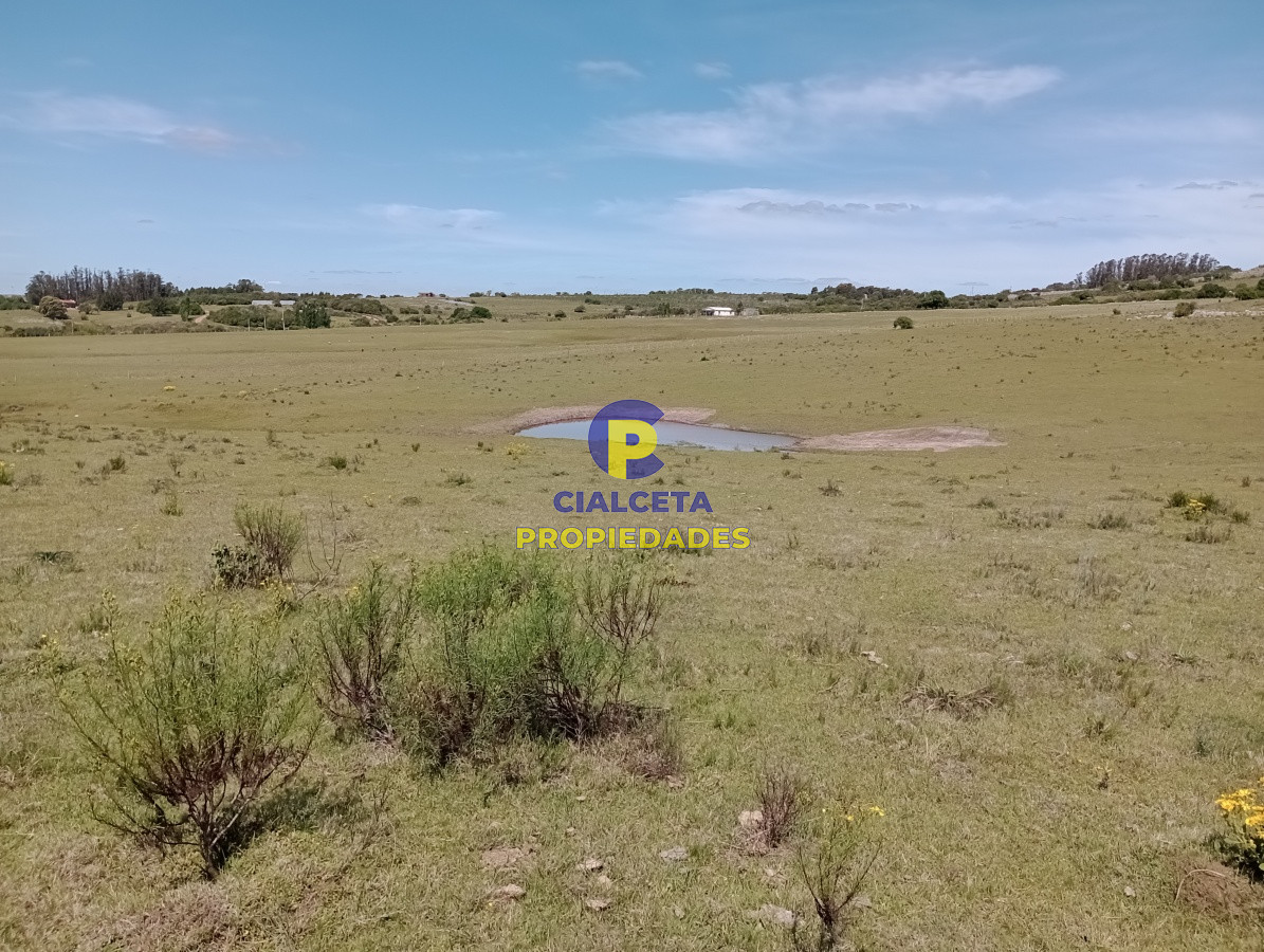 Chacra ID.208 - 5 hectáreas en Pueblo Edén