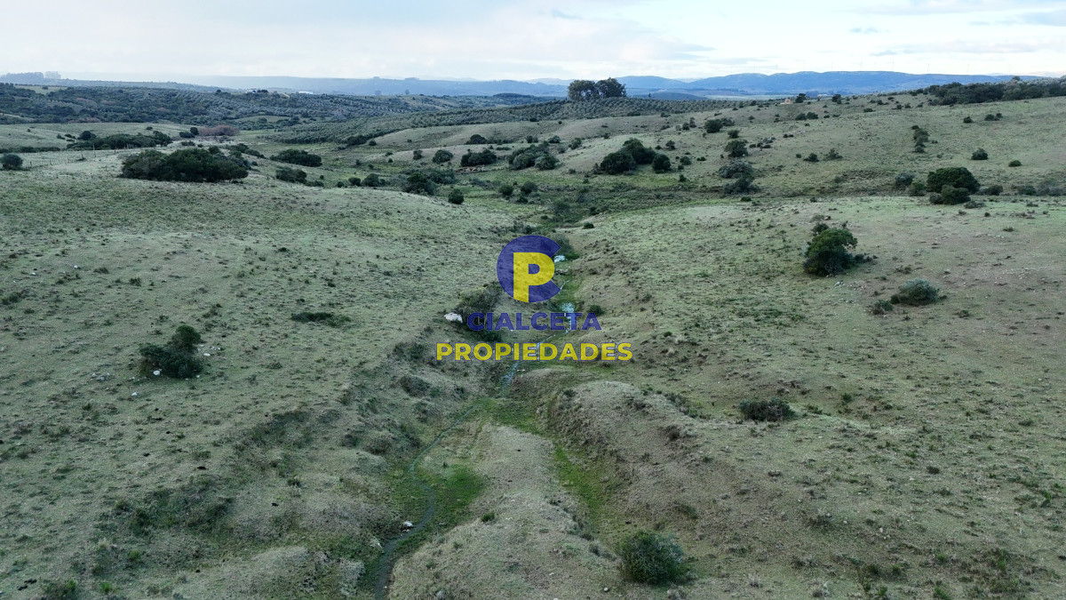 Chacra ID.460 - 5 hectáreas a 10 km de Pueblo Edén, sobre camino