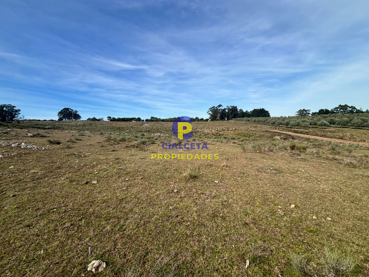 Maldonado - GoPunta - Portal Inmobiliario de Punta del Este - Maldonado