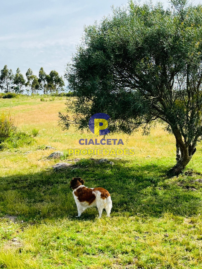 Chacra ID.367 - 5 hectáreas con excelente casa en un lugar increíble