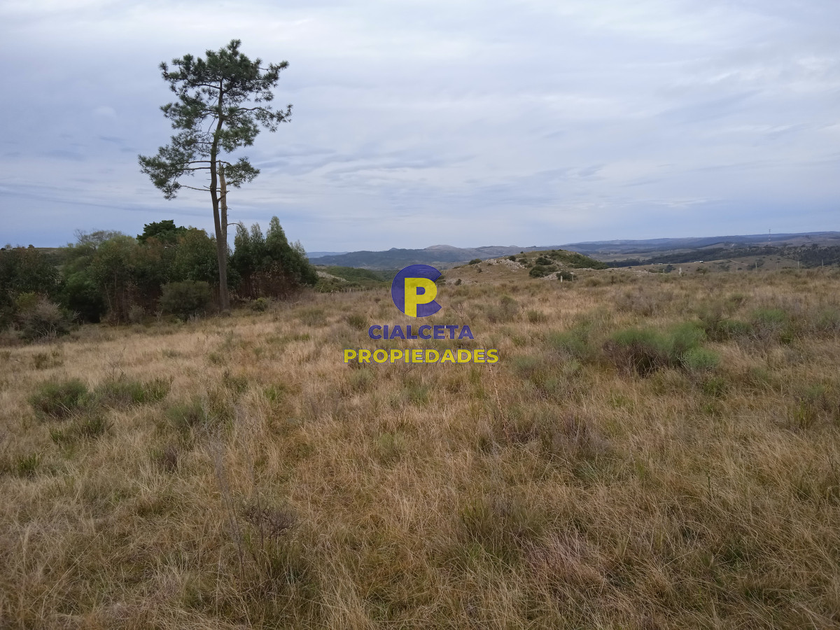 Zona Rural - GoPunta - Portal Inmobiliario de Punta del Este - Maldonado
