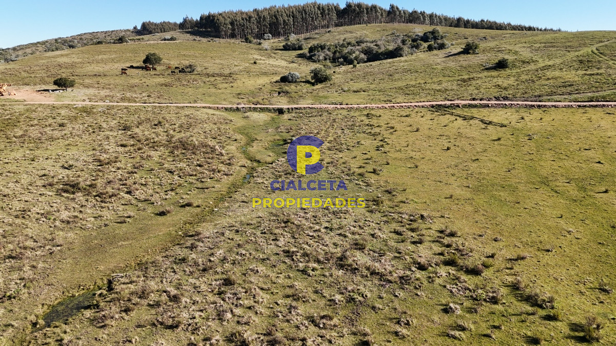 Chacra ID.493 - 5 hectáreas con entrega de 6 mil dólares