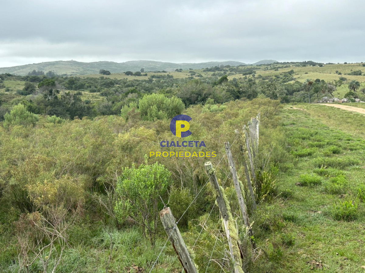 Las Cañas - GoPunta - Portal Inmobiliario de Punta del Este - Maldonado