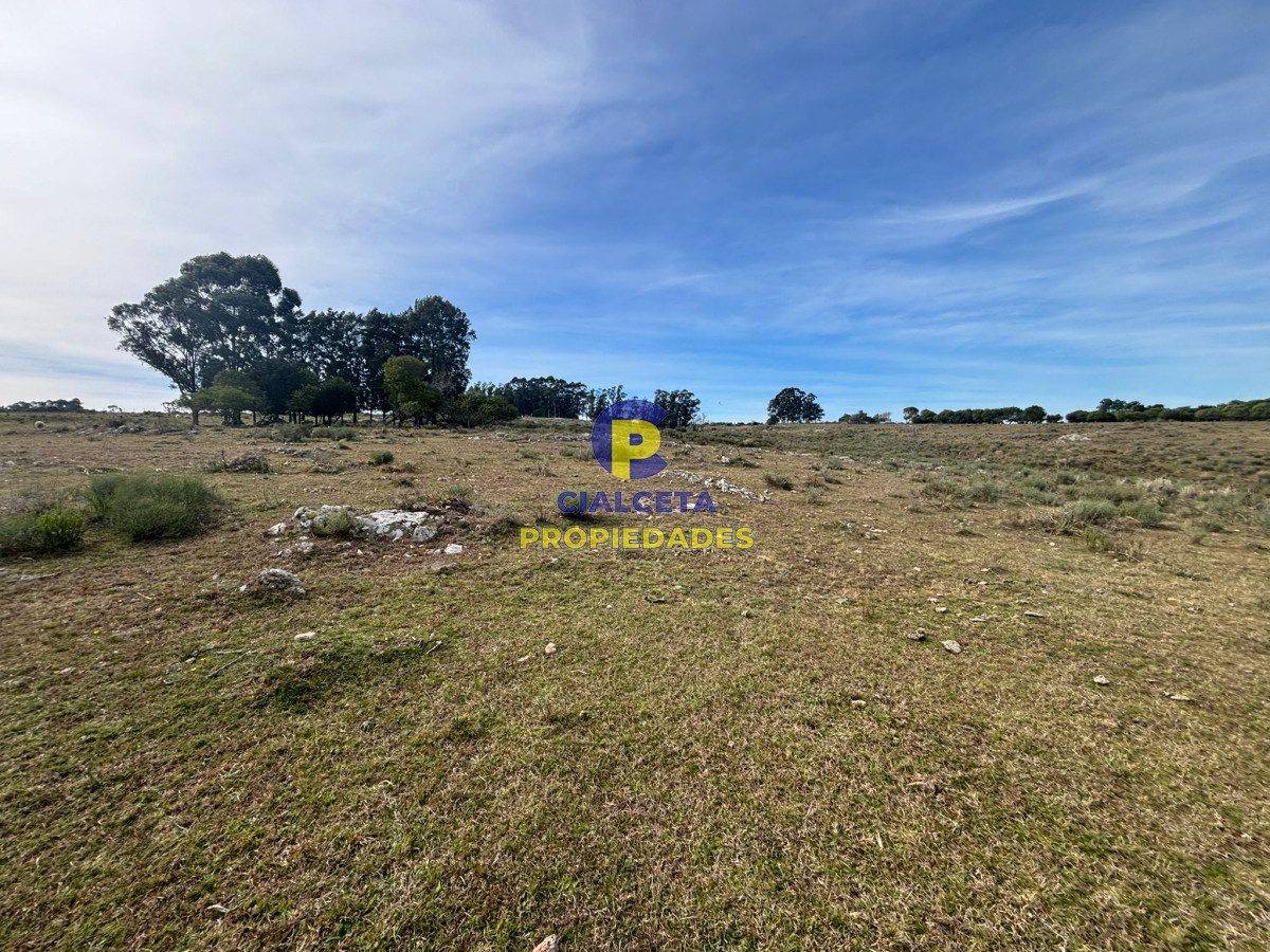 Maldonado - GoPunta - Portal Inmobiliario de Punta del Este - Maldonado