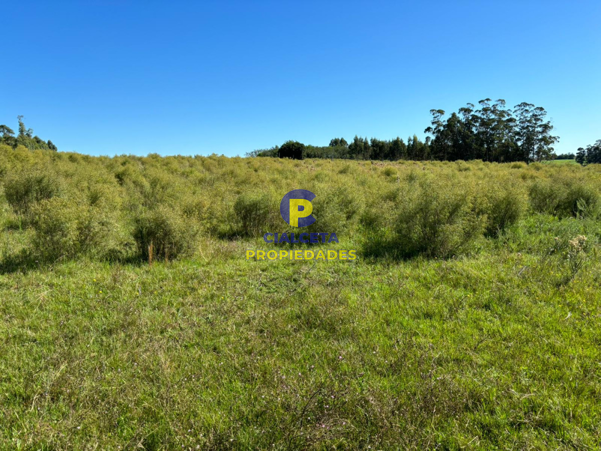 Migues - GoPunta - Portal Inmobiliario de Punta del Este - Maldonado